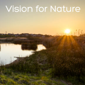 AFON’s #VisionForNature report could be a powerful tool for political change, but young people must wield it.